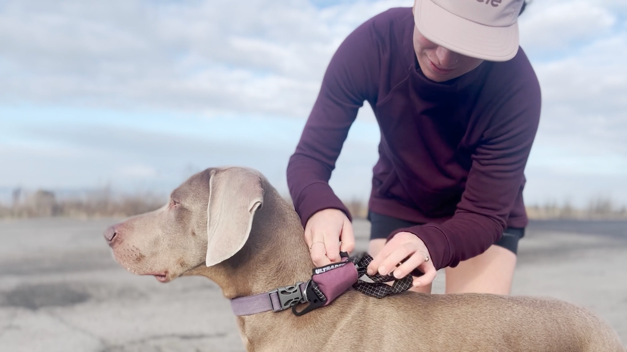 PREORDER The Ultraderp Leash